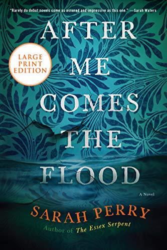 After Me Comes the Flood (Large Print)