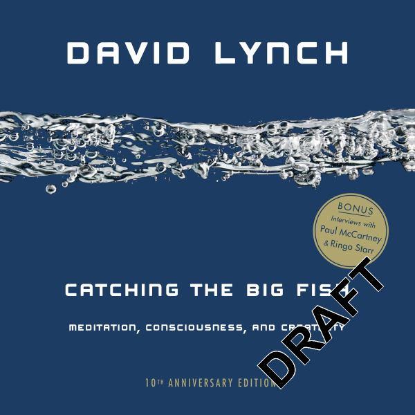 Catching the Big Fish: Meditation, Consciousness, and Creativity (10th Anniversary Edition)