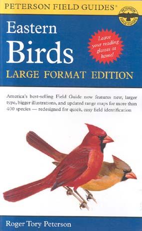 Eastern Birds (Peterson Field Guides: Large Format Edition)