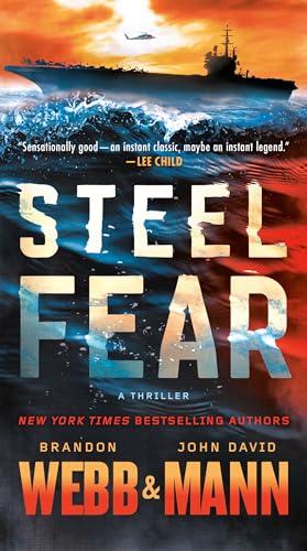 Steel Fear (The Finn Thrillers, Bk. 1)