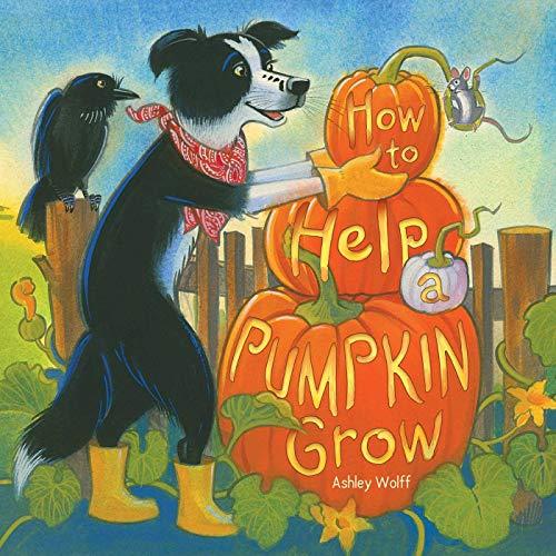 How to Help a Pumpkin Grow