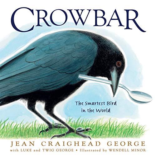 Crowbar: The Smartest Bird in the World