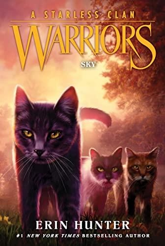 Sky (Warriors: A Starless Clan, Bk. 2)