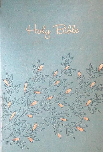 NIV Thinline, Large Print Holy Bible (Teal Leathersoft)