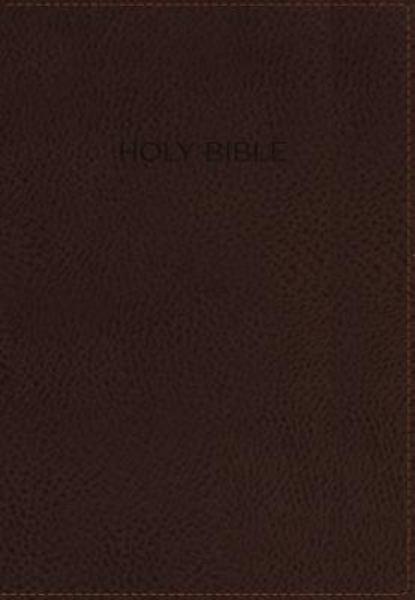 NIV Foundation Study Bible (Earth Brown Leathersoft)