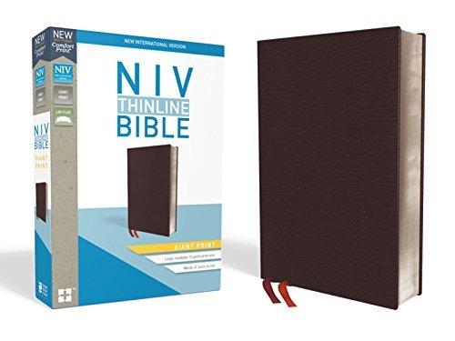 NIV Giant Print Thinline Bible (Thumb Indexed, Burgundy Bonded Leather)
