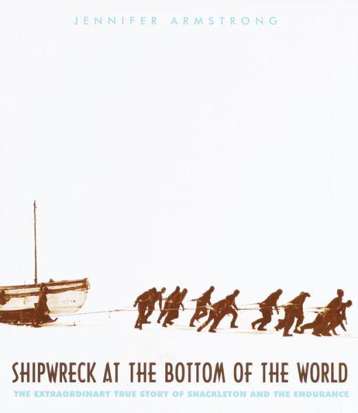 Shipwreck At The Bottom Of The World