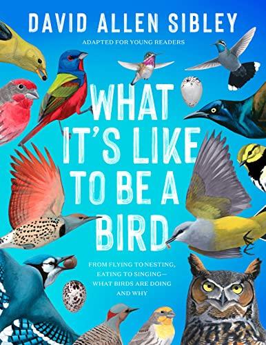 What It's Like to Be a Bird: From Flying to Nesting, Eating to Singing—What Birds Are Doing and Why (Adapted for Young Readers)