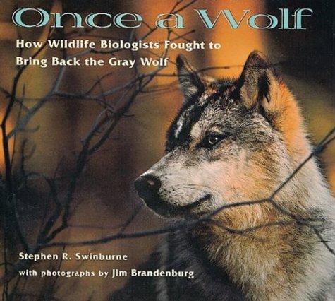Once A Wolf (Scientists in the Field)