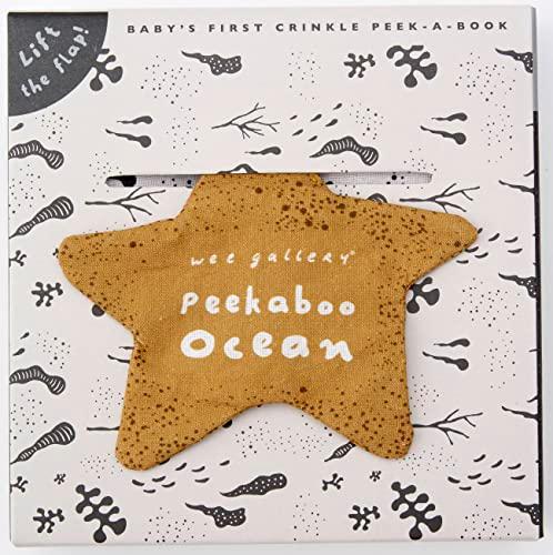 Peekaboo Ocean: Lift the flap! (Baby's Frist Crinkle Peek-A-Book)