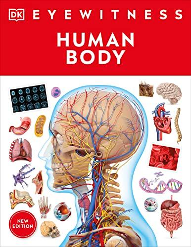 Human Body (DK Eyewitness - New Edition)