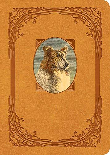 Lassie Come-Home (Collector's Edition of the Enduring Classic)