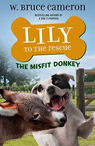 The Misfit Donkey (Lily to the Rescue!, Bk. 6)