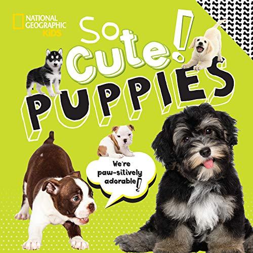 So Cute! Puppies (National Geographic Kids)