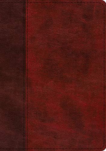 ESV Single Column Journaling Bible (Large Print,TruTone Burgundy/Red, Timeless Design)
