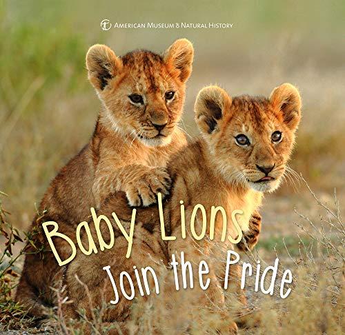 Baby Lions Join the Pride (First Discoveries)