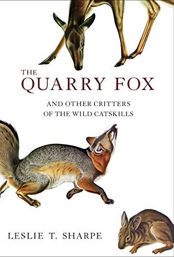 The Quarry Fox and Other Critters of the Wild Catskills