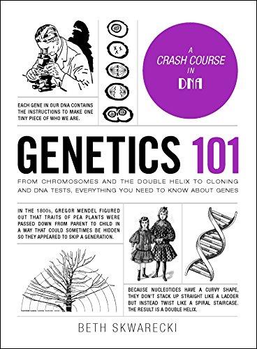 Genetics 101: A Crash Course In DNA