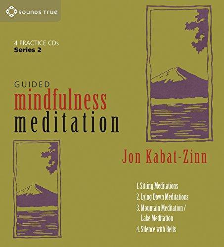 Guided Mindfulness Meditation (Series 2)