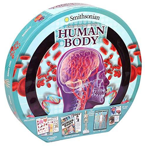 The Human Body (Smithsonian Exploration Station)