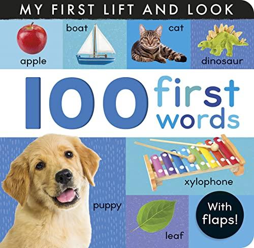 100 First Words (My First Lift and Look)