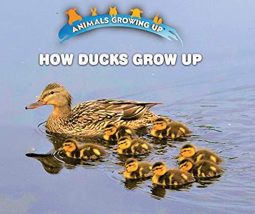 How Ducks Grow Up (Animals Growing Up)